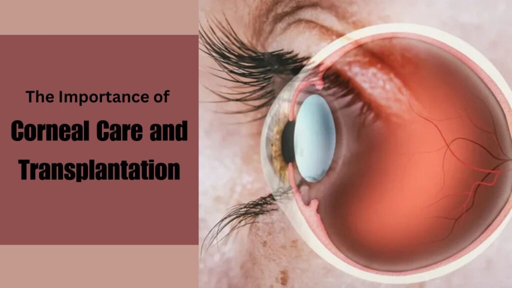 The Importance of Corneal Care and Transplantation – Best Cornea Treatment in Jabalpur